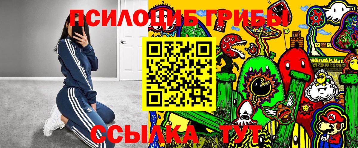 Псилоцибиновые грибы мицелий  Вход с VPN  Тимашёвск  Галлюциногенные грибы MAGIC MUSHROOMS 